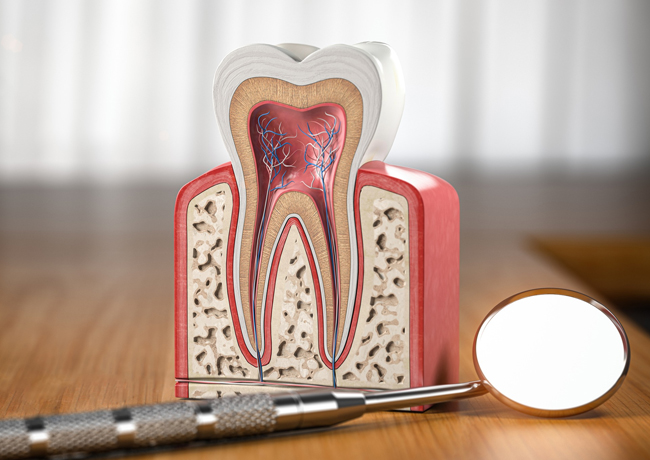 Root Canal treatments - cascade dental care