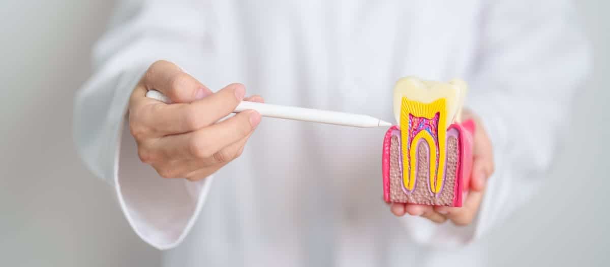 Root Canal Treatment in Spokane Valley